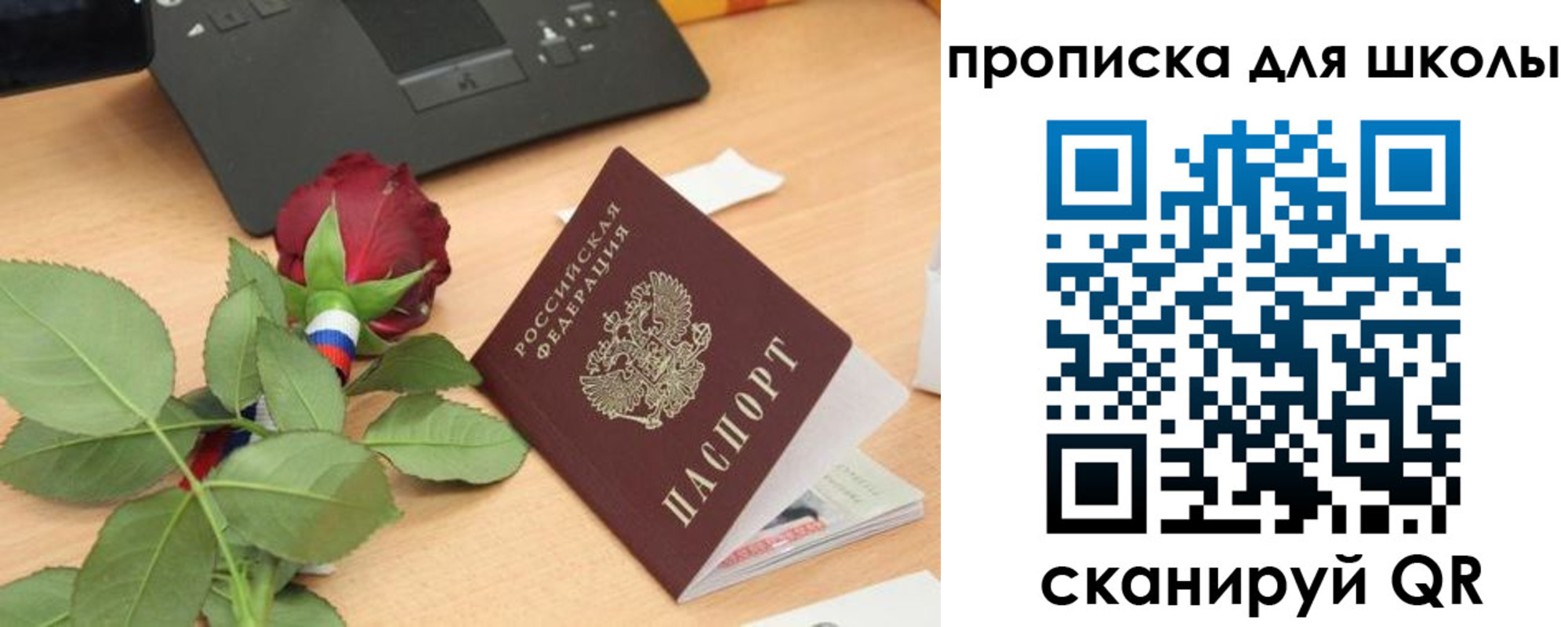 прописка паспорт в Гвардейске